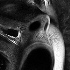 VIOLENZA PSICOLOGICA VIOLENZA PSICOLOGICA